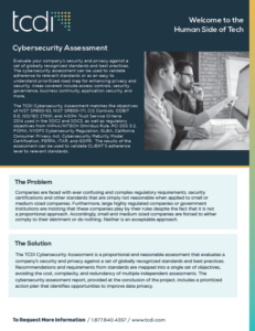 Cybersecurity Assessment Fact Sheet