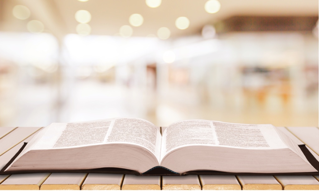 Dictionary to symbolize litigation management key terms