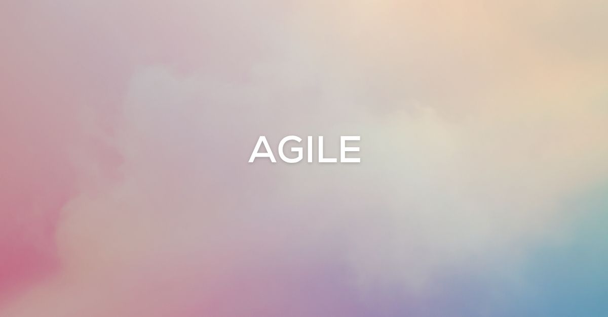 We are Agile