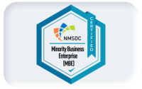 NMSDC-2026web badge