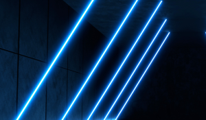 litigation management